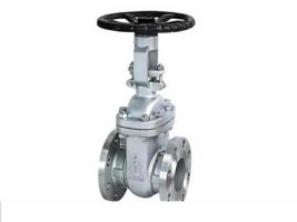 Van cổng A351-CF8M FLGD-RF CL.150