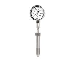 Đồng Hồ Áp Suất Wise Dạng Màng P740