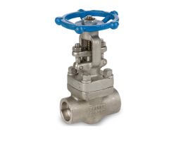 VAN CƯA NỐI HÀN INOX 304 CLASS 800