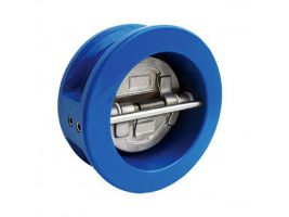 Van một chiều cánh bướm