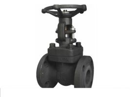 Van cổng A105 Flange RF Class 300