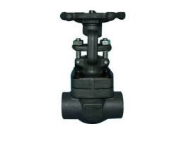 VAN CỬA NỐI REN THÉP RÈN A105 CLASS 800