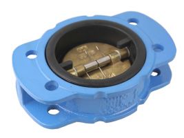 Wafer Flange Check Valve