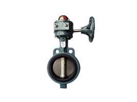 VAN BƯỚM GANG TAY QUAY