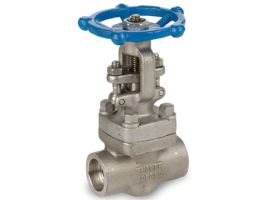 VAN HƠI NỐI HÀN INOX 304 CLASS 800