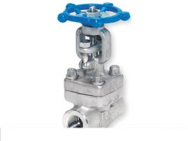 Van cầu A182-F316 threaded NPT. Class 600