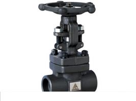 Van cổng A105 SW Class 600