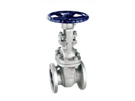 VAN CỬA THÉP ĐÚC WCB ANSI 150 HIỆU DR